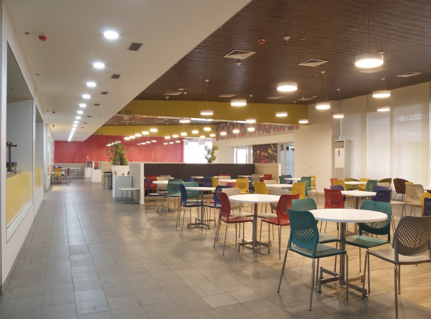Elevate Your Office Experience